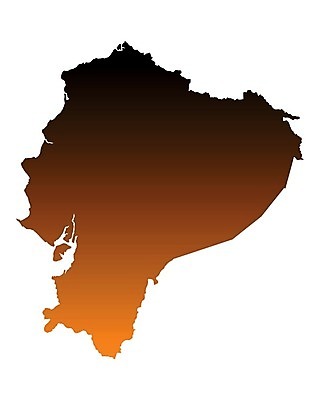 EPS 해외이미지 선 여행 백그라운드 지도 일러스트 갈색 윤곽 에콰도르 고립 지리 해외202004 해외일러스트 컬러 남아메리카 파일형식 벡터 이미지허브