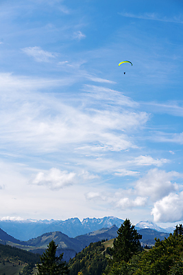 포토 JPG 해외이미지 나무 유럽 산 풍경 사람없음 초록색 파란색 오스트리아 숲 알프스 침엽수 해외202004 해외포토 식물 나라 컬러 파일형식 이미지허브