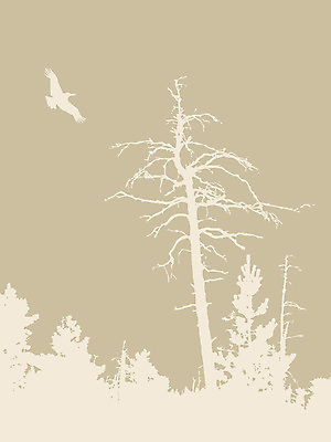 포토 JPG 해외이미지 나무 동물 디자인 실루엣 종이 줄기 백그라운드 일러스트 자연 벽지 조류 프레임 미술 사람없음 그래픽 장식 노란색 손상 수확 골동품 덮개 나뭇가지 점 얼룩 균열 만화 스케치 오브젝트 그림 질감 복고 클립 윤곽 캔버스 먼지 페이지 구식 그런지 세피아 썩음 양피지 옛날 노화 해외202004 해외포토 식물 컬러 컨셉 농업 모션 문화예술 촬영기법 뚜껑 생태계 파일형식 이미지허브