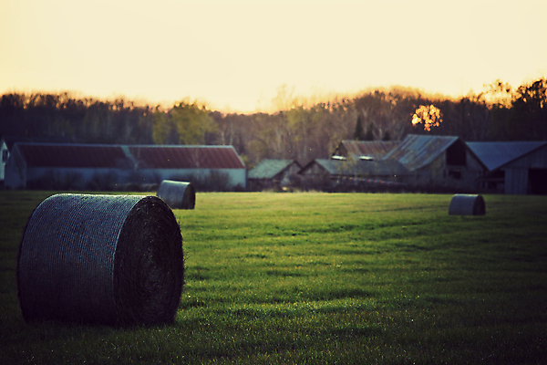 포토 JPG 해외이미지 나무 농업 건조 사람없음 건물 농장 마을 미국 일몰 시골 헛간 옛날 해외202004 해외포토 식물 건축물 산업 북아메리카 노을 저장고 파일형식 이미지허브