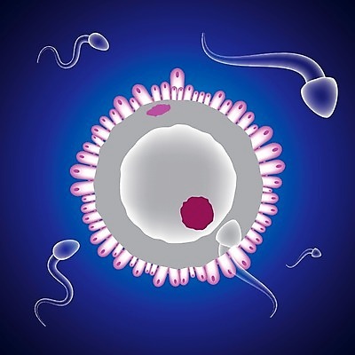 EPS 해외이미지 여자 남자 과학 컨셉 일러스트 해부 새로움 세포 건강 현미경 사랑 씨앗 사람 약 계란 경쟁 임신 아기 DNA 생물학 승자 유전 제어 피임 해외202004 해외일러스트 식물 교육 감정 의학 실험기구 알 생명공학 예방 파일형식 벡터 이미지허브