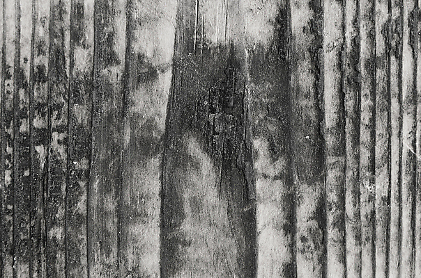 포토 JPG 해외이미지 나무 커피 벽 조각 백그라운드 패턴 자연 표면 추상 흑백 사람없음 목재 갈색 검은색 어둠 수확 골동품 판넬 균열 널 낟알 질감 복고 숯 내추럴 그런지 석탄 옛날 화상 해외202004 해외포토 식물 음료 컬러 무늬 농업 재료 모션 촬영기법 상처 생태계 파일형식 이미지허브