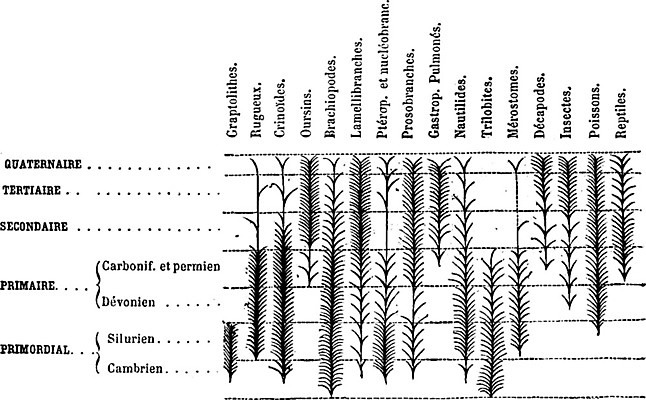 EPS 해외이미지 동물 바다 과학 곤충 일러스트 파충류 이야기 어류 미술 사람없음 검은색 골동품 흰색 변화 묘사 그림 판화 최초 개발 옛날 해외202004 해외일러스트 컬러 컨셉 문화예술 수중동물 파일형식 벡터 이미지허브