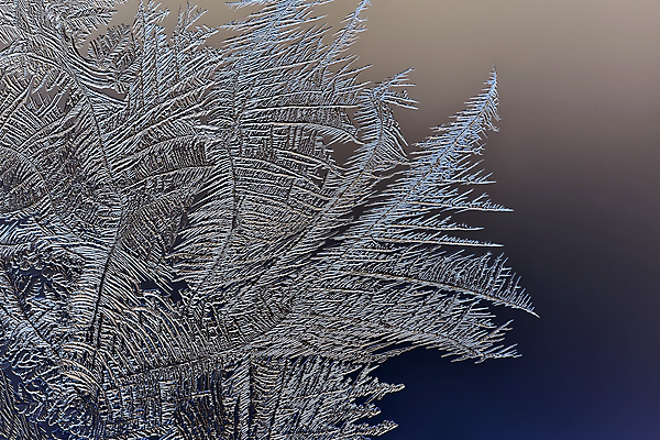 포토 JPG 해외이미지 계절 백그라운드 크리스마스 겨울 패턴 창문 자연 유리 날씨 추상 새로움 사람없음 장식 물 파란색 얼음 추위 흰색 눈송이 시원함 크리스탈 연도 질감 서리 온도 내추럴 반투명 환상 프로스팅 해외202004 해외포토 자연요소 기념일 컬러 컨셉 무늬 재질 눈_날씨 광석 생태계 제빵 파일형식 이미지허브