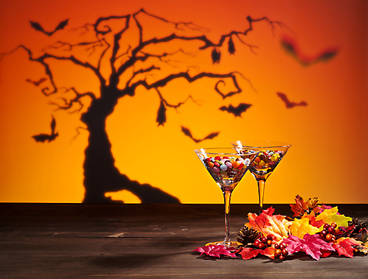 포토 JPG 해외이미지 나무 디자인 계절 행복 실루엣 잎 오렌지 하늘 동화 휴가 기념 사탕 사람없음 장식 빨간색 갈색 노란색 파티 초콜릿 축제 화환 할로윈 수확 가을 축하 황금 야간 신비 무서움 박쥐 솔방울 마법 추수감사절 10월 몬스터 적갈색 호러 오싹 해외202004 해외포토 자연요소 식물 꽃 감정 기독교 컬러 컨셉 농업 과일 포유류 디저트 촬영기법 이벤트 날짜 공포 파일형식 이미지허브