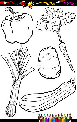 EPS 해외이미지 식물 템플릿 디자인 교육 음식 농업 다이어트 토마토 채소 과일 일러스트 학교 놀이 감자 파프리카 흑백 파슬리 건강 그래픽 책 세트 검은색 유치원 샐러드 게임 흰색 신선 어플리케이션 만화 오브젝트 그림 뿌리 페이지 부추 후추 색칠공부 주키니 채식주의자 해외202004 해외일러스트 산업 컬러 촬영기법 학습 색칠 향신료 채식 파일형식 벡터 이미지허브