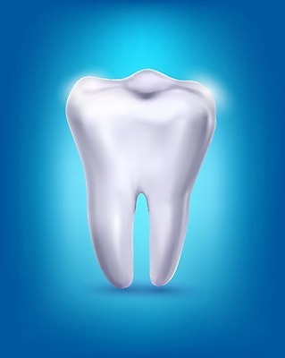 EPS 해외이미지 1 디자인 백그라운드 신체 일러스트 해부 새로움 건강 치과 사람 파란색 빛 약 흰색 신선 닫기 치아 질병 심볼 오브젝트 부식 싱글 치과의사 생물학 고립 돌봄 미백 위생관리 치통 해외202004 해외일러스트 교육 컬러 컨셉 의학 모션 병원 관리 의사 소화기관 파일형식 벡터 이미지허브