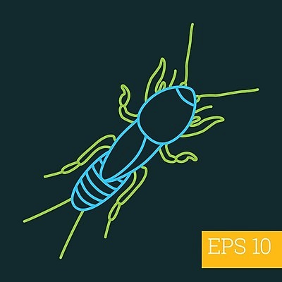 EPS 해외이미지 디자인 야생동물 선 곤충 일러스트 자연 생물 그래픽 픽토그램 주름 벌레 심볼 오브젝트 사인 그림 심플 윤곽 기생충 고립 귀뚜라미 두더지 얇은 엘리먼트 해외202004 해외일러스트 동물 바이러스 생태계 파일형식 벡터 이미지허브