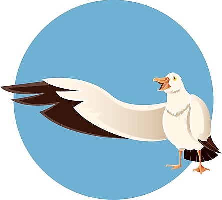 EPS 해외이미지 동물 디자인 행복 바다 여행 백그라운드 일러스트 자연 갈매기 조류 휴식 미술 그래픽 흰색 우아함 큼 만화 심볼 그림 부리 환영 엘리먼트 해외202004 해외일러스트 감정 컬러 컨셉 문화예술 크기 생태계 파일형식 벡터 이미지허브