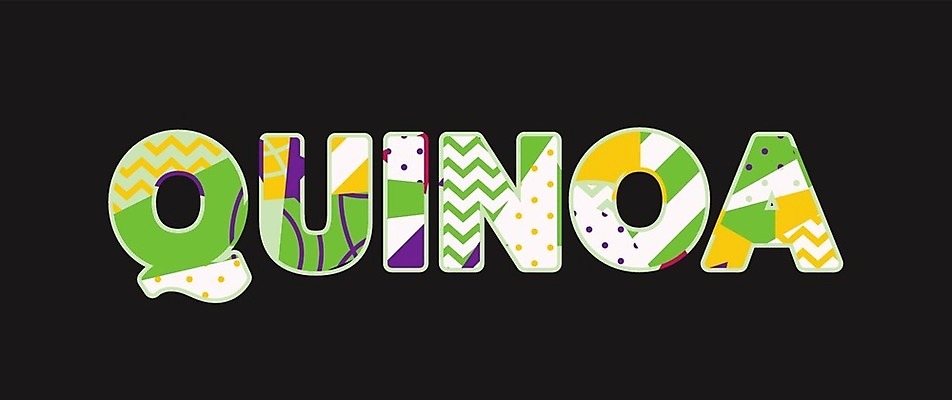 EPS 해외이미지 식물 음식 컨셉 다이어트 일러스트 밥 아이디어 요리 미술 씨앗 타이포그라피 단어 먹기 레시피 건강식 식용 퀴노아 테마 슈퍼푸드 해외202004 해외일러스트 문자 모션 문화예술 곡류 건강 건강식품 파일형식 벡터 이미지허브