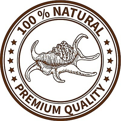 EPS 해외이미지 디자인 음식 바다 스티커 일러스트 자연 추상 잉크 건강 꼬리표 라벨 환경 원형 시장 상품 인쇄 물개 알림 심볼 순수 사인 에코 유기농 생태계 약속 공지사항 우표 내추럴 휘장 고립 마케팅 바이오 증명서 특별함 각인 해외202004 해외일러스트 도형 웰빙 컨셉 무늬 포유류 프레임 바다동물 파일형식 벡터 이미지허브