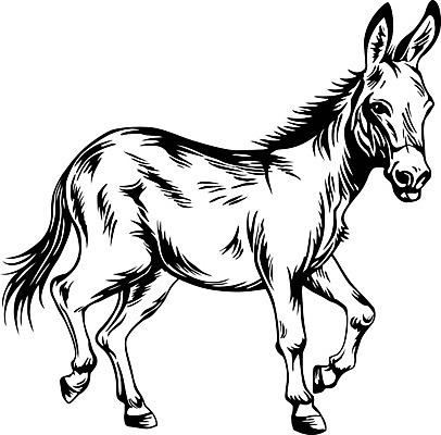 EPS 해외이미지 클립아트 동물 손 디자인 응시 일러스트 포유류 자연 털 서기 반려동물 농장 검은색 회색 흰색 그리기 만화 그림 귀 갈기 당나귀 고립 해외202004 해외일러스트 시선 컬러 농업 모션 신체부위 말_동물 생태계 파일형식 벡터 이미지허브