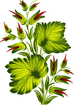 EPS 해외이미지 디자인 꽃 백그라운드 잎 일러스트 수채화 미술 사람없음 초록색 손그림 해외202004 해외일러스트 식물 컬러 문화예술 파일형식 벡터 이미지허브