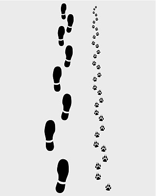 EPS 해외이미지 동물 실루엣 길 신발 2 일러스트 손가락 자국 사람 반려동물 산책 개 인쇄 발자국 심볼 윤곽 발가락 우표 단계 내추럴 고립 양발 자취 각인 해외202004 해외일러스트 손 포유류 발 휴식 촬영기법 파일형식 벡터 이미지허브
