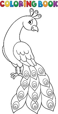 EPS 해외이미지 클립아트 동물 디자인 응시 행복 일러스트 자연 조류 미술 장식 책 페인트 그리기 공작 깃털 그림 꼬리 윤곽 동물상 스타일 해외202004 해외일러스트 시선 감정 모션 문화예술 조형물 생태계 파일형식 벡터 이미지허브