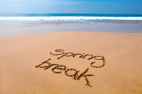 포토 JPG 해외이미지 문장 모래 파도 바다 여행 컨셉 텍스트 휴가 휴식 사람없음 야외 가로 물 단어 모래사장 파티 우주 맑음 봄 거품 덮개 흰색 서핑 메시지 사인 단절 필기체 해외202004 해외포토 자연요소 문자 계절 컬러 날씨 이벤트 뚜껑 수상스포츠 파일형식 이미지허브