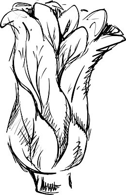 EPS 해외이미지 디자인 백그라운드 다이어트 토마토 채소 일러스트 치즈 샌드위치 건강 요리 미술 그래픽 초록색 세트 식당 검은색 저녁식사 소고기 햄버거 신선 맛 상추 만화 스케치 먹기 심볼 오브젝트 속도 메뉴 그림 유기농 양배추 점심식사 고립 번 채식주의자 치즈버거 해외202004 해외일러스트 웰빙 음식 빵 컬러 컨셉 모션 문화예술 유제품 패스트푸드 육류 상점 식사 채식 파일형식 벡터 이미지허브