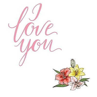 EPS 해외이미지 클립아트 꽃잎 꽃 백그라운드 꽃무늬 일러스트 수채화 사람없음 호랑이 플랫 백합 심플 레터링 해외202004 해외일러스트 식물 무늬 포유류 파일형식 벡터 이미지허브