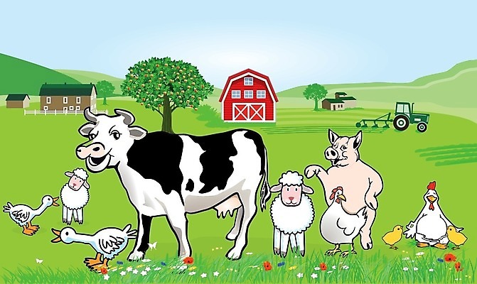 EPS 해외이미지 계절 음식 밭 농업 일러스트 주택 병아리 풍경 초록색 농장 마을 가축 수확 시골 소 에코 유기농 헛간 외양간 해외202004 해외일러스트 동물 웰빙 산업 컬러 포유류 조류 건물 환경 저장고 파일형식 벡터 이미지허브