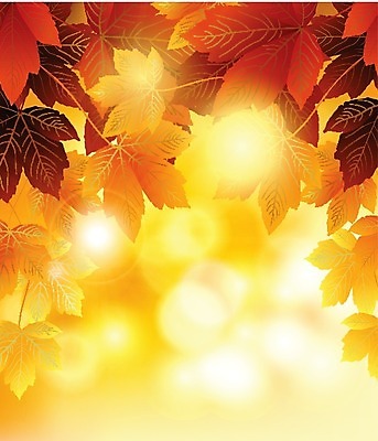 EPS 해외이미지 나무 식물 템플릿 디자인 계절 공원 파도 백그라운드 컨셉 단풍 잎 패턴 오렌지 일러스트 비즈니스 학교 자연 벽지 추상 미술 야외 장식 빨간색 컬러풀 노란색 우주 디지털 웹 줄무늬 활발 가을 나뭇가지 신용카드 황금 우아함 숲 질감 모음 엘리먼트 효과 해외202004 해외일러스트 공공시설 교육 바다 컬러 무늬 인터넷 과일 문화예술 금융 생태계 파일형식 벡터 이미지허브