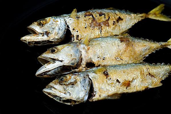 포토 JPG 해외이미지 접시 잎 태국 자연 고추 육류 어류 요리 동양인 사람없음 튀김 신선 뜨거움 허브 해산물 유기농 고등어 내추럴 점심식사 단백질 해외202004 해외포토 식물 식기 웰빙 아시아 음식 채소 식재료 인종 식사 수중동물 생태계 영양소 파일형식 이미지허브