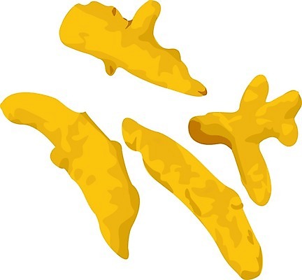 EPS 해외이미지 클립아트 식물 음식 백그라운드 농업 다이어트 오렌지 일러스트 재료 자연 건강 요리 동양인 약 농장 주방 정원 식사 수확 흰색 신선 양념 조미료 시장 맛 약초 가루 인도인 허브 향신료 유기농 매움 날것 뿌리 향 반대 내추럴 영양분 채식주의자 치료제 강황 항생제 비건 해외202004 해외일러스트 외국인 웰빙 산업 컬러 컨셉 과일 식재료 의학 인종 풀_식물 생태계 채식 향미료 파일형식 벡터 이미지허브