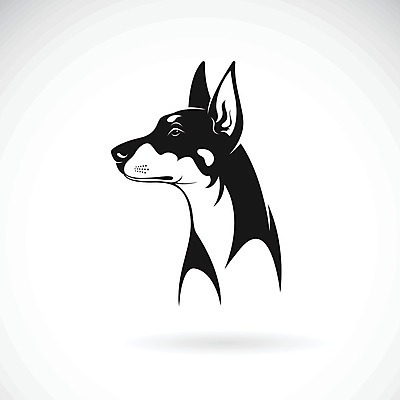 EPS 해외이미지 일러스트 사람없음 반려동물 검은색 흰색 개 강아지 그레이트덴 해외202004 해외일러스트 동물 컬러 포유류 파일형식 벡터 이미지허브