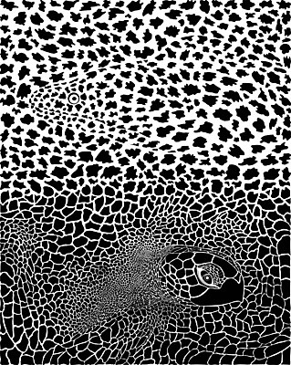 EPS 해외이미지 동물 야생동물 백그라운드 일러스트 추상 어류 그래픽 머리 수중 거북이 해산물 피부 그림 질감 고립 해외202004 해외일러스트 무늬 파충류 신체부위 수중동물 파일형식 벡터 이미지허브