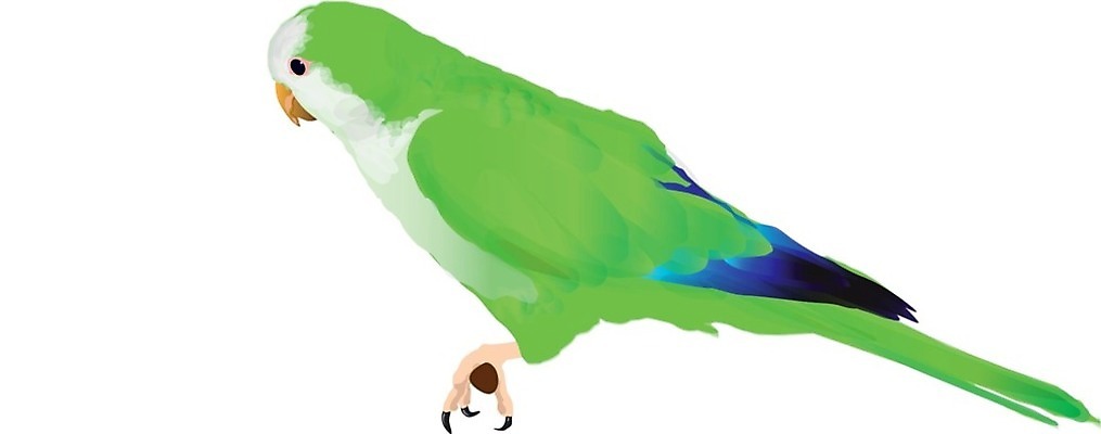 EPS 해외이미지 클립아트 동물 척추동물 캐릭터 1 응시 야생동물 백그라운드 2 일러스트 의학 자연 조류 말하기 미술 사람 그래픽 초록색 파란색 반려동물 컬러풀 노란색 상점 우정 회색 흰색 나뭇가지 떨어짐 만화 자르기 깃털 그림 클립 부리 앵무새 슛 보여주기 수의사 고립 아마존 잉꼬 해외202004 해외일러스트 일러캐릭터 나무 시선 컬러 컨셉 모션 문화예술 친구 의사 생태계 파일형식 벡터 이미지허브