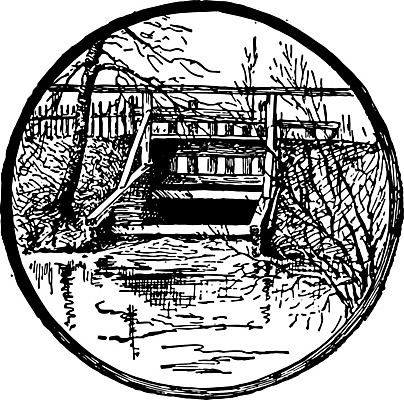 EPS 해외이미지 선 일러스트 미술 사람없음 검은색 흰색 콘센트 그림 판화 변소 크랜베리 해외202004 해외일러스트 열매 컬러 문화예술 파일형식 벡터 이미지허브