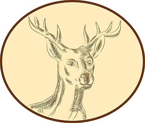 EPS 해외이미지 동물 야생동물 일러스트 사슴 잉크 뿔 그래픽 머리 달러 수확 원형 스케치 그림 스크래치 판화 고립 목판화 순록 핸드메이드 반추동물 해외202004 해외일러스트 도형 돈 농업 포유류 미술 신체부위 파일형식 벡터 산업 문화예술 사람 재산 금융 경제 이미지허브