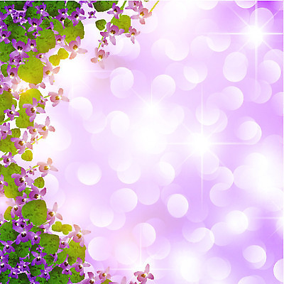 EPS 해외이미지 식물 디자인 꽃잎 꽃 행복 별 꽃다발 결혼 백그라운드 꽃무늬 일러스트 자연 휴가 기념 프레임 장식 컬러풀 환경 정원 보라색 봄 기쁨 들꽃 벚꽃 나뭇가지 축하 인사 신용카드 개화 우아함 다발 제비꽃 내추럴 비올라 카피스페이스 해외202004 해외일러스트 자연요소 나무 계절 감정 컬러 컨셉 무늬 이벤트 금융 공백 예절 생태계 파일형식 벡터 찰현악기 이미지허브