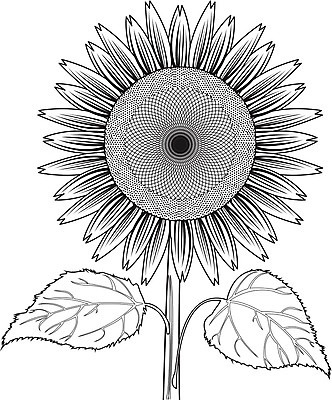 EPS 해외이미지 식물 꽃잎 꽃 행복 잎 꽃무늬 패턴 오렌지 일러스트 자연 해바라기 씨앗 여름 컬러풀 노란색 정원 봄 벚꽃 흰색 원형 개화 닫기 꽃집 유기농 원예 질감 꽃가루 내추럴 고립 현실 해외202004 해외일러스트 도형 웰빙 계절 감정 컬러 무늬 과일 모션 취미 상점 가루 생태계 파일형식 벡터 이미지허브