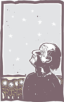 EPS 해외이미지 별 밭 일러스트 자연 해바라기 환경 무서움 욕심 목판화 시각장애인 해외202004 해외일러스트 자연요소 꽃 감정 농업 장애인 생태계 파일형식 벡터 이미지허브