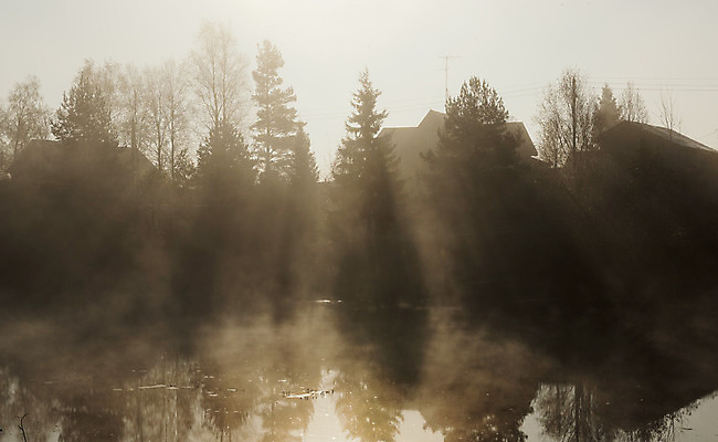 포토 JPG 해외이미지 나무 식물 계절 공원 실루엣 호수 여행 백그라운드 자연 하늘 아침 날씨 주택 풍경 사람없음 야외 목재 초록색 물 여름 빛 강 햇빛 반사 일출 침묵 일몰 봄 새벽 꿈 안개 연못 신선 황무지 숲 속도 상승 흐림 내추럴 뿌연 해외202004 해외포토 주간 자연요소 공공시설 컬러 컨셉 재료 촬영기법 건물 태양 노을 소리 생태계 파일형식 이미지허브