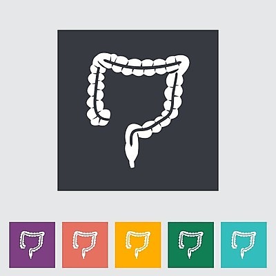 EPS 해외이미지 디자인 실루엣 신체 일러스트 해부 건강 사람 내부 약 회색 오르간 플랫 횡단보도 심볼 그림 간 외과 종양 탐지 해외202004 해외일러스트 컬러 의학 촬영기법 병원 장기_의학 보행로 건반악기 파일형식 벡터 이미지허브