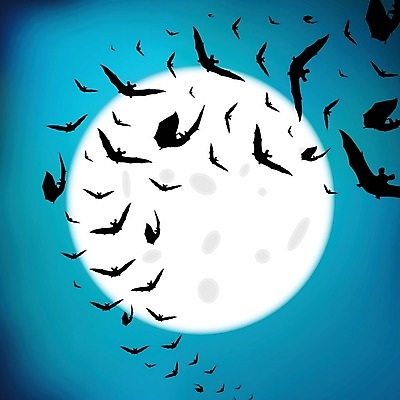 EPS 해외이미지 동물 캐릭터 디자인 배너 실루엣 백그라운드 날개 일러스트 자연 하늘 미술 풍경 그래픽 파란색 빛 우주 검은색 어둠 할로윈 달 흰색 그룹 동굴 플랫 야간 신비 무서움 만화 달빛 심볼 레이아웃 박쥐 10월 흡혈귀 나쁜 호러 많음 효과 해외202004 해외일러스트 일러캐릭터 자연요소 감정 컬러 컨셉 포유류 문화예술 촬영기법 날짜 생태계 공포 파일형식 벡터 이미지허브