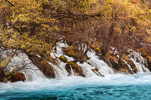 포토 JPG 해외이미지 나무 공원 호수 여행 자연 휴가 풍경 사람없음 야외 초록색 물 컬러풀 세계 여행객 평화 환경 중국 폭포 가을 재산 숲 순수 내추럴 해외202004 해외포토 자연요소 식물 계절 공공시설 아시아 컬러 컨셉 사람 금융 생태계 파일형식 이미지허브