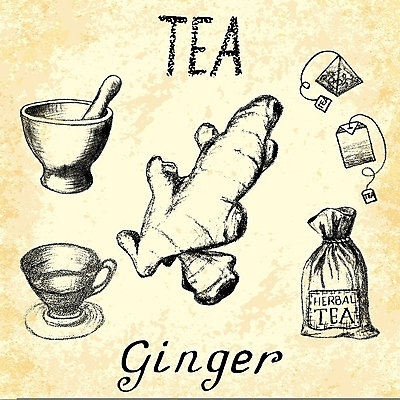 포토 JPG 해외이미지 식물 디자인 꽃 음료 음식 백그라운드 잎 꽃무늬 일러스트 건강 사람없음 컵 초록색 약 연필 노란색 검은색 수확 흰색 뜨거움 차 녹차 약국 수집 허브 그림 심플 뿌리 성분 생강 테라피 건강식 내추럴 막자 해외202004 해외포토 식기 컬러 무늬 농업 채소 의학 학용품 차_음료 필기구 뷰티 파일형식 이미지허브