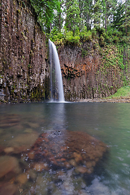 포토 JPG 해외이미지 나무 여행 북아메리카 자연 이끼 풍경 사람없음 야외 빨간색 초록색 수중 미국 폭포 산책로 하이킹 개울 숲 암초 현무암 해외202004 해외포토 식물 길 컬러 레저 아메리카 강 생태계 화산암 파일형식 이미지허브