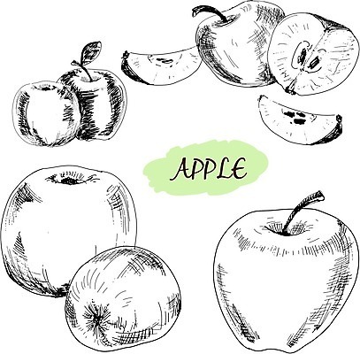 EPS 해외이미지 식물 디자인 음식 조각 백그라운드 잎 농업 다이어트 과일 일러스트 자연 잉크 건강 미술 세트 정원 수확 신선 그룹 달콤 맛 사과 수집 먹기 그림 복고 손그림 건강식 고립 그런지 백과사전 옛날 채식주의자 디테일 비건 해외202004 해외일러스트 산업 컨셉 모션 문화예술 생태계 채식 사전 파일형식 벡터 이미지허브