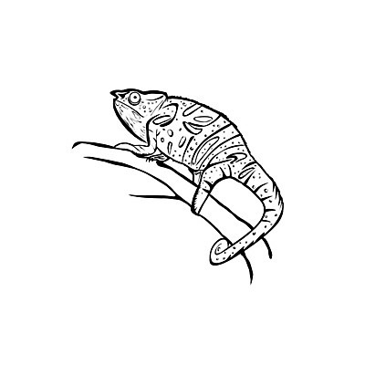 EPS 해외이미지 동물 캐릭터 응시 야생동물 일러스트 파충류 자연 그래픽 빨간색 초록색 컬러풀 열대우림 스케치 그림 꼬리 도마뱀 코믹 기어가기 고립 마스코트 엘리먼트 이국적 카멜레온 해외202004 해외일러스트 일러캐릭터 시선 컬러 모션 미술 숲 생태계 파일형식 벡터 이미지허브