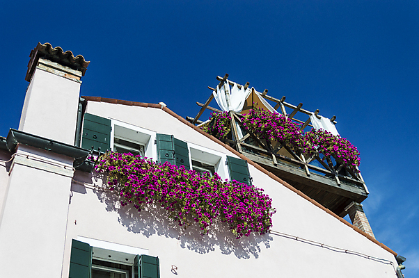 포토 JPG 해외이미지 라이프스타일 디자인 꽃 유럽 도로 여행 건축양식 창문 휴가 주택 미술 풍경 사람없음 야외 건물 컬러풀 세계 이탈리아 발코니 바위 역사 묘사 사인 아치 베네치아 옛날 스타일 해외202004 해외포토 식물 건축물 건축 나라 길 컬러 교통시설 문화예술 생활 돌_바위 파일형식 이미지허브