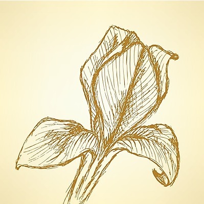 EPS 해외이미지 식물 손 디자인 꽃 행복 선 백그라운드 컨셉 잎 꽃무늬 패턴 일러스트 자연 벽지 추상 잉크 미술 그래픽 장식 여름 컬러풀 정원 페인트 봄 수확 신용카드 그리기 스케치 타일 만족 그림 복고 판화 붓꽃 그런지 엘리먼트 옛날 현실 해외202004 해외일러스트 계절 감정 컬러 무늬 농업 모션 문화예술 신체부위 금융 생태계 파일형식 벡터 이미지허브