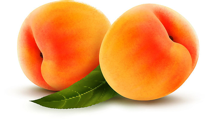 EPS 해외이미지 음식 백그라운드 잎 2 다이어트 오렌지 과일 일러스트 부분 자연 건강 빨간색 초록색 흰색 신선 체리 그룹 달콤 맛 자르기 유기농 날것 복숭아 망고 내추럴 고립 숙성 채식주의자 해외202004 해외일러스트 식물 웰빙 컬러 컨셉 모션 열대과일 생태계 채식 파일형식 벡터 이미지허브