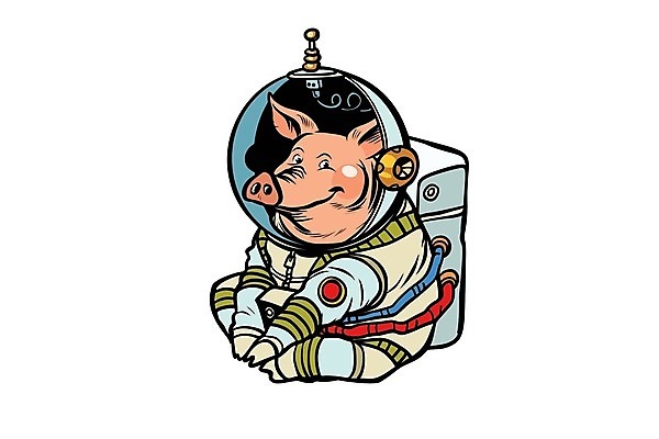 EPS 해외이미지 동물 캐릭터 전통 디자인 행복 별 문화 과학 컨셉 일러스트 포유류 추상 휴가 미래 새로움 새해 돼지고기 미술 동양인 그래픽 장식 빨간색 농장 우주 일본 축제 중국 꿈 행성 로켓 우주비행사 달력 축하 인사 돼지 만화 자르기 연도 심볼 사인 그림 영웅 엘리먼트 스타일 해외202004 해외일러스트 일러캐릭터 자연요소 감정 아시아 컬러 무늬 농업 모션 문화예술 육류 인종 예절 파일형식 벡터 이미지허브