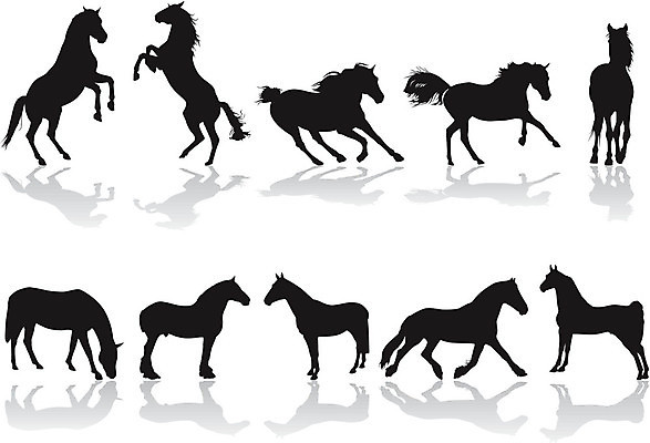 EPS 해외이미지 동물 실루엣 일러스트 자연 사람없음 기르기 해외202004 해외일러스트 촬영기법 생태계 돌봄 파일형식 벡터 이미지허브