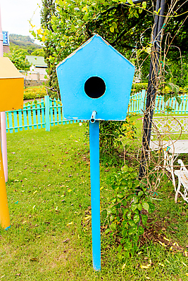 포토 JPG 해외이미지 나무 손 계절 꽃 야생동물 음식 분홍색 백그라운드 오렌지 자연 벽지 조류 지붕 주택 사랑 사람없음 야외 목재 장식 빨간색 초록색 파란색 상자 컬러풀 정원 봄 방 흰색 하트 시골 구멍 둥지 보호 숲 작음 손목시계 새장 내추럴 고립 그런지 핸드메이드 해외202004 해외포토 모양 식물 동물 감정 시계 컬러 컨셉 과일 재료 장신구 건물 신체부위 크기 생태계 케이지 파일형식 이미지허브