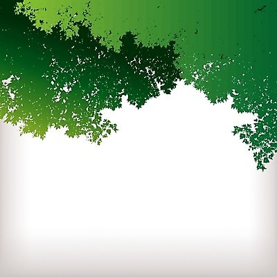 EPS 해외이미지 나무 식물 템플릿 디자인 배너 계절 포스터 백그라운드 컨셉 잎 일러스트 자연 추상 따뜻함 서기 야외 그래픽 장식 초록색 환경 웹 봄 공백 활발 달력 성장 덮개 나뭇가지 신선 신용카드 연도 에코 나무껍질 내추럴 월 구성 생태학 스타일 해외202004 해외일러스트 교육 컬러 무늬 인터넷 모션 금융 뚜껑 껍질 날짜 생태계 파일형식 벡터 이미지허브