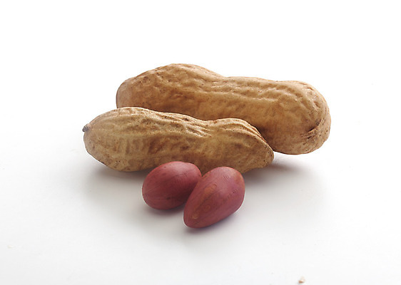 포토 JPG 해외이미지 클리핑패스 음식 재료 사람없음 식사 견과류 껍질 상품 땅콩 고립 핵심 해외202004 해외포토 파일형식 이미지허브